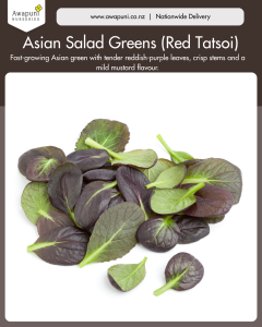 Asian Salad Greens (Red Tatsoi)